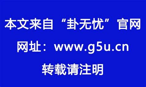 1982 属什么|1982年属什么生肖 1982年属什么的生肖